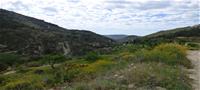Land  in Relleu (Ref. T810CJO )