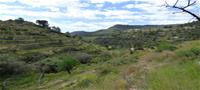Land  in Relleu (Ref. T810CJOA)